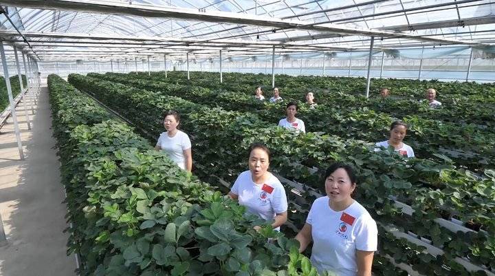 图片加载失败